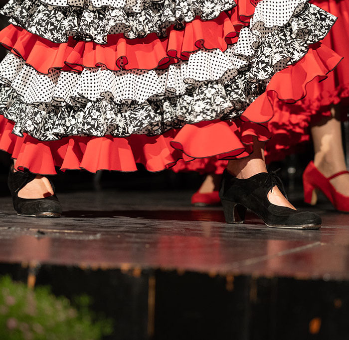 Fiesta_flamenca_2019_27
